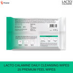 Buy Lacto Calamine Daily Cleansing Wipes (25 wipes) - Purplle