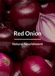 Buy Lotus Botanicals Red Onion Smooth Hair Conditioner | Smoothens & De-Frizzes hair | Prevents Breakage | No Preservatives | 150 gm - Purplle