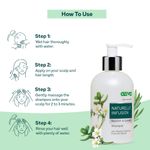 Buy OZiva Naturelle Infusion Nourish & Growth Shampoo - Purplle