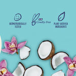 Buy St. Ives Softening coconut & orchid Hand cream, 100% Natural Moisturizers (Imported), 30ml - Purplle