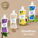 Buy St. Ives International Soothing Oatmeal & Shea Butter Body Lotion | 100% Natural Moisturizers (Imported) | 400 ml - Purplle