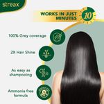 Buy Streax Insta Shampoo Hair colour for 100% Grey Coverage, Burgandy, 18 ml - Purplle