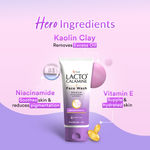 Buy Lacto Calamine Face Wash with Kaolin Clay for All Skin Type (100 ml) - Purplle
