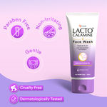 Buy Lacto Calamine Face Wash with Kaolin Clay for All Skin Type (100 ml) - Purplle