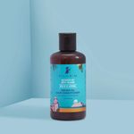 Buy Pilgrim Anti-Frizz Hair Care Set with Sulphate Free Shampoo 200 ml & Argan Oil Hair Conditioner 200 ml | Silky Smooth Hair For Women and Men - Purplle