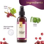 Buy Pilgrim Red Vine Face Care Kit For Night Care| Face Wash 100 ml, Face Mist & Toner 100 ml, Night Creme Gel 50g | Anti-Ageing, Skin Repair | Glowing Skin | All Skin | Men & Women - Purplle