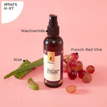 Buy Pilgrim Vino Must-Have Skincare Combo | Nourish & Repair | Red Vine Extract Face Wash 100 ml, Face Mist & Toner 100 ml,Day Cream SPF 30 50g Night Cream 50 gm,Under Eye Cream 30 gm | Men & Women - Purplle
