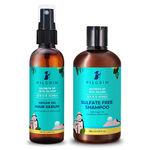Buy Pilgrim Basic Hair Care & Frizz Control Combo | Shiny Strong Hair | Seal Cuticles & Nourish | Fight Frizz & Dryness | Sulphate Free Shampoo 200 ml, Argan Oil Hair Serum 100 ml | Men & Women | Korean Beauty Secrets - Purplle