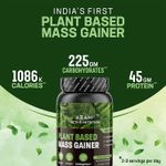 Buy Azani Active Nutrition Plant Mass Gainer 1kg | 1083 Kcal, 45g Vegan Protein, 225g Carbohydrates, 0.5g Chlorella, 0.3g Ashwagandha | Intense Muscle Recovery, Weight Gainer, No Bloating-Natural - Purplle