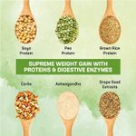 Buy Azani Active Nutrition Plant Mass Gainer 1kg | 1083 Kcal, 45g Vegan Protein, 225g Carbohydrates, 0.5g Chlorella, 0.3g Ashwagandha | Intense Muscle Recovery, Weight Gainer, No Bloating-Natural - Purplle
