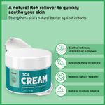 Buy Azani Anti- Itch Cream | Jock Itch, Insect bites, stings, Intimate Area Itch, Redness, Flakes - 50 gm - Purplle