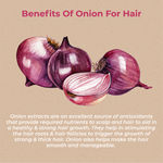 Buy Vedix Customized Ayurvedic Vakshan Lightweight Onion Hair Oil For Oily Hair (200 ml) - Purplle