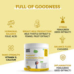 Buy SheNeed Plant Based Postnatal Multivitamin Drink With Fenugreek Extract, Fennel, Folic Acid, and Calcium for Hormonal Balance, Lactation Support & Postpartum Recovery for Women- 300 gm - Purplle