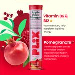 Buy PLIX L-Carnitine Apple Cider Vinegar Effervescent Helps turn fat into energy - 15 Tablets, Pack Of 1 - Purplle