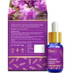 Buy St.Botanica Pure Rosemary Therapeutic Grade Essential Oil (15 ml) - Purplle