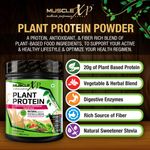 Buy MuscleXP Plant Protein - Natural Protein Powder with Pea Protein, Herbal and Vegetable Blend, 400g (Sugar Free) + Shaker - Purplle