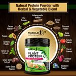 Buy MuscleXP Plant Protein - Natural Protein Powder with Pea Protein, Herbal and Vegetable Blend, 400g (Sugar Free) + Shaker - Purplle