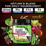 Buy MuscleXP Plant Protein - Natural Protein Powder with Pea Protein, Herbal and Vegetable Blend, 400g (Sugar Free) + Shaker - Purplle