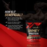Buy MuscleXP Raw Whey Protein Concentrate 80% Powder With Digestive Enzymes, Unflavored, 1Kg (2.2lb) x Pack Of 2 - Purplle