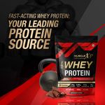 Buy MuscleXP Raw Whey Protein Concentrate 80% Powder With Digestive Enzymes, Unflavored, 1Kg (2.2lb) x Pack Of 2 - Purplle
