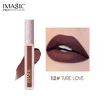 Buy IMAGIC PROfessional LIP AND CHEEK DUAL-USE SOFT MIST LIP MUD (LP213-12) - Purplle