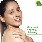 Buy Good Vibes Tea Tree Anti-Acne Shower Gel, With Rosemary Leaf Oil |(Body Wash) Anti-Bacterial |Certified Fragrance (300 ml) - Purplle