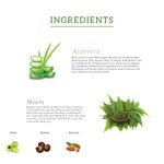 Buy Khadi Natural Neem & Aloevera With Wheat Germ Hair Oil - Powered Botanics(200ml) - Purplle