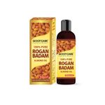 Buy Baidyanath Rogan Badam Oil (100 ml) - Purplle