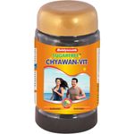 Buy Baidyanath Sugarfree Chyawan Vit 1 kg - Purplle