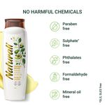Buy Naturali Damage Repair Shampoo with Moringa Oil & Avocado | Repairs Hair Damage | Paraben and Sulphate Free Shampoo | Best Shampoo for Dry & Frizzy Hair - Purplle