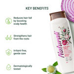 Buy Naturali Hairfall Arrest Shampoo with Red Onion & Bhringraj | Controls Hairfall | Paraben and Sulphate Free Shampoo | Hairfall Shampoo for Men & Women ,180 ml - Purplle