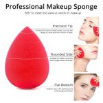 Buy Ronzille Professional Premium Makeup Puff Sponge Multicolor - Purplle