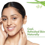 Buy Good Vibes Aloe Vera Soothing Facial Wipes | Vegan, No Parabens, No Sulphates, No Alcohol, No Mineral Oil, No Animal Testing (25 Wipes) - Purplle
