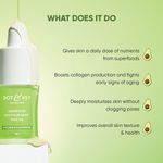 Buy Dot & Key Superfood Skin Nourishing Face Oil, 20ml - Purplle