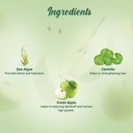 Buy Biotique Green Apple Shine & Gloss Shampoo & Conditioner (120 ml) - Purplle