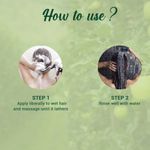 Buy Biotique Green Apple Shine & Gloss Shampoo & Conditioner (120 ml) - Purplle