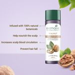 Buy Biotique Walnut Volume & Bounce Shampoo & Conditioner (120 ml) - Purplle