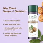 Buy Biotique Walnut Volume & Bounce Shampoo & Conditioner (120 ml) - Purplle
