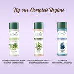 Buy Biotique Walnut Volume & Bounce Shampoo & Conditioner (120 ml) - Purplle