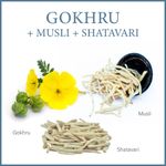 Buy AADAR ENDURE CAPSULE | Avoid Early Coming, Control your Power, | Shatavari, Gokhru, Ashwagandha, Safed Musli, and Amla | 60 Capsules (Pack of 2) - Purplle
