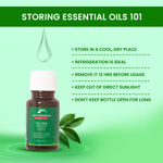 Buy Alps Goodness Tea Tree Essential Oil (30 ml) - Purplle