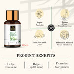 Buy Good Vibes 100% Pure Tea Tree Essential Oil | Anti-Acne, Helps Clears Pimples | No Synthetics, 100% Natural, 100% Vegetarian (10 ml) - Purplle