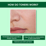 Buy Alps Goodness Acne Control Toner for Oily Skin with Tea Tree Apple, Cider Vinegar & Salicylic Acid (110 ml)| Toner for Oily Skin| Pore tightening toner| Pore minimizing Toner| Salicylic Acid Toner - Purplle