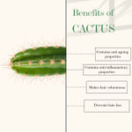 Buy Good Vibes Cactus And Rosehip Cold Pressed Oil For Hair & Skin (100ml) - Purplle