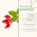 Buy Good Vibes Cactus And Rosehip Cold Pressed Oil For Hair & Skin (100ml) - Purplle