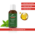 Buy Alps Goodness Peppermint Essential Oil (30 ml) - Purplle