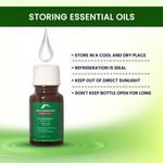Buy Alps Goodness Pure Essential Oil - Peppermint (10 ml) - Purplle