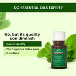 Buy Alps Goodness Pure Essential Oil - Peppermint (10 ml) - Purplle