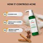 Buy Alps Goodness Acne Control Facewash For Dry Skin with Cinnamon, Salicylic Acid & Hyaluronic Acid (100 ml)| For Acne Prone Dry Skin | Sulphate Free, Soap Free, Silicone Free, Paraben Free, Mineral Oil Free | Salicylic Acid Face wash - Purplle