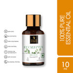 Buy Good Vibes Eucalyptus 100% Pure Essential Oil | Hair Growth, Skin Brightening | 100% Vegetarian, No GMO, No Synthetics, No Animal Testing (10 ml) - Purplle